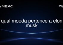 qual moeda pertence a elon musk