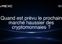 Quand est prévu le prochain marché haussier des cryptomonnaies ?