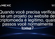 Quando você precisa verificar se um projeto ou website de criptomoeda é legítimo, quais passos você normalmente toma?