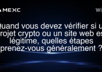 Quand vous devez vérifier si un projet crypto ou un site web est légitime, quelles étapes prenez-vous généralement ?