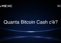 Quanta Bitcoin Cash c’è?