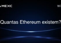 Quantas Ethereum existem?