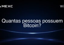 Quantas pessoas possuem Bitcoin?