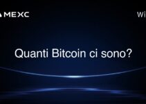 Quanti Bitcoin ci sono?