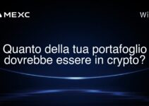 Quanto della tua portafoglio dovrebbe essere in crypto?