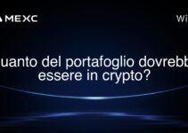 Quanto del portafoglio dovrebbe essere in crypto?