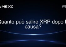 Quanto può salire XRP dopo la causa?