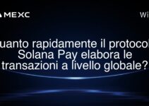 Quanto rapidamente il protocollo Solana Pay elabora le transazioni a livello globale?