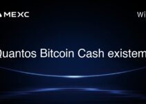 Quantos Bitcoin Cash existem?