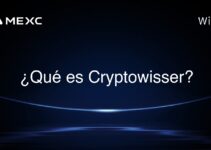 ¿Qué es Cryptowisser?