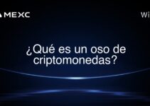 ¿Qué es un oso de criptomonedas?