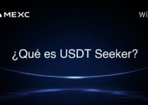¿Qué es USDT seeker?