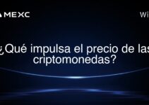¿Qué impulsa el precio de las criptomonedas?