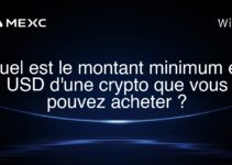 Quel est le montant minimum en USD d’une crypto que vous pouvez acheter ?