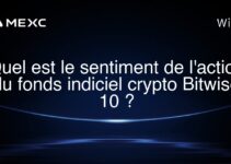 Quel est le sentiment de l’action du fonds indiciel crypto Bitwise 10 ?