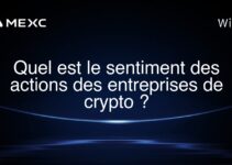 Quel est le sentiment des actions des entreprises de crypto ?