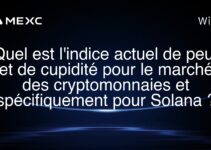 Quel est l’indice actuel de peur et de cupidité pour le marché des cryptomonnaies et spécifiquement pour Solana ?