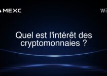 Quel est l’intérêt des cryptomonnaies ?