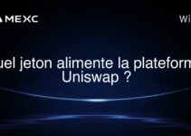 quel jeton alimente la plateforme Uniswap ?