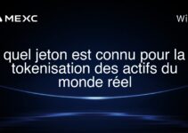quel jeton est connu pour la tokenisation des actifs du monde réel