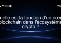 Quelle est la fonction d’un nœud blockchain dans l’écosystème crypto ?