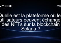 Quelle est la plateforme où les utilisateurs peuvent échanger des NFTs sur la blockchain Solana ?
