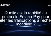 Quelle est la rapidité du protocole Solana Pay pour traiter les transactions à l’échelle mondiale ?