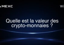 Quelle est la valeur des crypto-monnaies ?