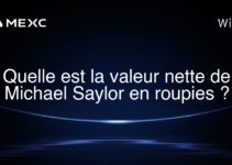 Quelle est la valeur nette de Michael Saylor en roupies ?
