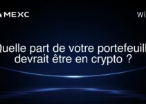 Quelle part de votre portefeuille devrait être en crypto ?