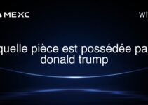 quelle pièce est possédée par donald trump