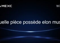 quelle pièce possède elon musk