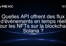 Quelles API offrent des flux d’événements en temps réel pour les NFTs sur la blockchain Solana ?