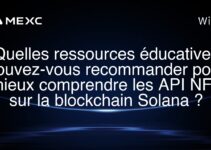 Quelles ressources éducatives pouvez-vous recommander pour mieux comprendre les API NFT sur la blockchain Solana ?