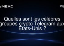 Quelles sont les célèbres groupes crypto Telegram aux États-Unis ?