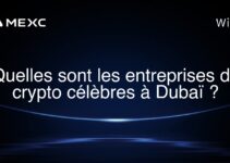 Quelles sont les entreprises de crypto célèbres à Dubaï ?