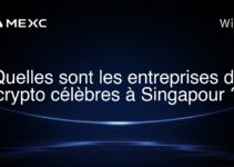 Quelles sont les entreprises de crypto célèbres à Singapour ?