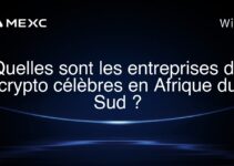 Quelles sont les entreprises de crypto célèbres en Afrique du Sud ?