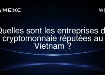 Quelles sont les entreprises de cryptomonnaie réputées au Vietnam ?