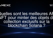 Quelles sont les meilleures API NFT pour minter des objets de collection exclusifs sur la blockchain Solana ?