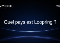 Quel pays est Loopring ?