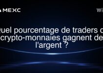 Quel pourcentage de traders de crypto-monnaies gagnent de l’argent ?