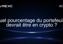 Quel pourcentage du portefeuille devrait être en crypto ?