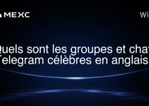 Quels sont les groupes et chats Telegram célèbres en anglais?