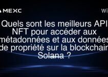 Quels sont les meilleurs API NFT pour accéder aux métadonnées et aux données de propriété sur la blockchain Solana ?