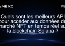 Quels sont les meilleurs API pour accéder aux données de marché NFT en temps réel sur la blockchain Solana ?