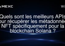 Quels sont les meilleurs APIs pour récupérer les métadonnées NFT spécifiquement pour la blockchain Solana ?