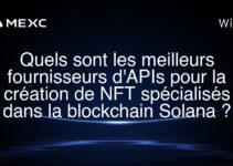 Quels sont les meilleurs fournisseurs d’APIs pour la création de NFT spécialisés dans la blockchain Solana ?