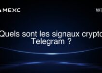 Quels sont les signaux crypto Telegram ?