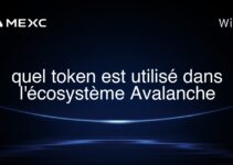 quel token est utilisé dans l’écosystème Avalanche